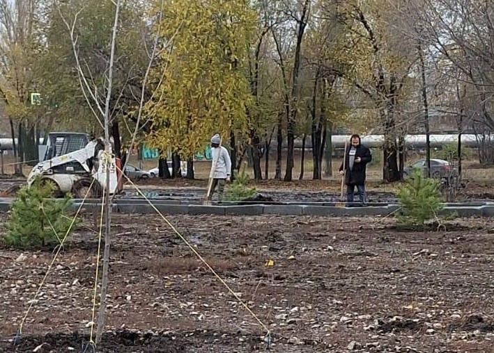 Перед новым онкодиспансером в Саратове высадили более 100 деревьев и кустарников